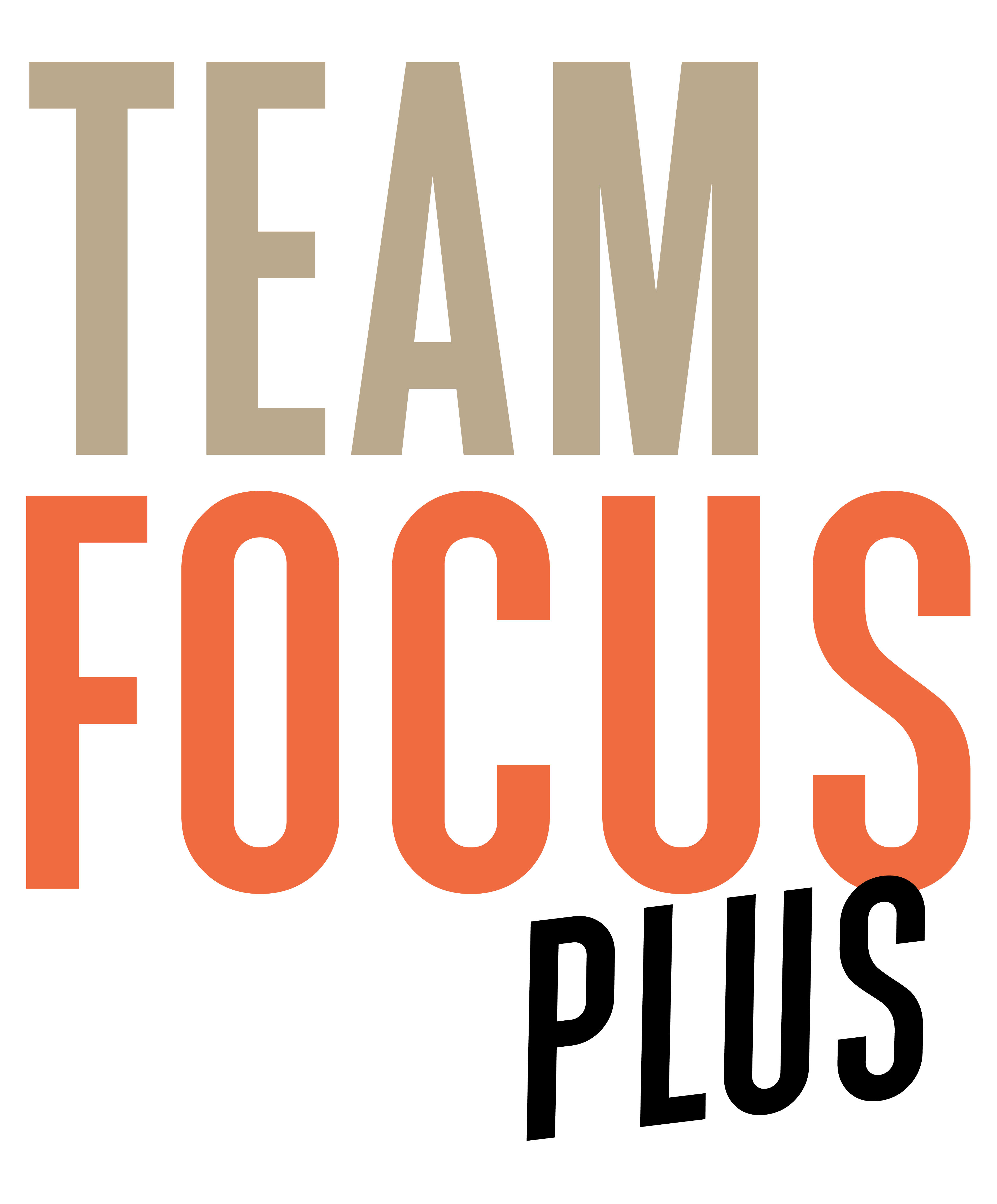 Team Focus Plus
